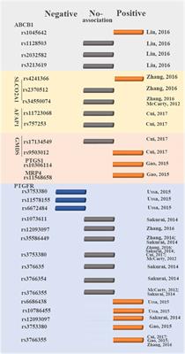 Clinical pharmacology and pharmacogenetics of prostaglandin analogues in glaucoma